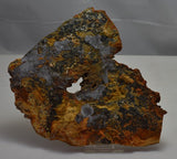 Stromatolite STRELLEY POOL SLICE, 3.4byo, MS121