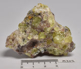 APATITE CRYSTAL in Matrix M202