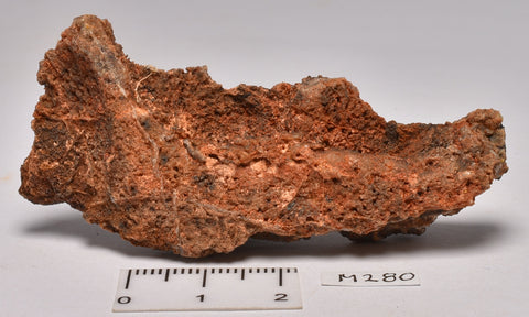 STROMATOLITE Microbial Fossil Mat Dresser Formation, Australia M280