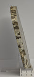 Stromatolite Inzeria Intia Fossil Polished Slice, N.T Australia (S1134)