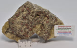ALMANDINE GARNET, QUARTZ AND BIOTITE, AUSTRALIAN ANTARTIC TERRITORY M03