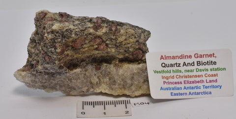 ALMANDINE GARNET, QUARTZ AND BIOTITE, AUSTRALIAN ANTARTIC TERRITORY M04