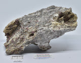 ALMANDINE GARNET, QUARTZ AND BIOTITE, AUSTRALIAN ANTARTIC TERRITORY M36