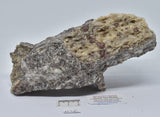 ALMANDINE GARNET, QUARTZ AND BIOTITE, AUSTRALIAN ANTARTIC TERRITORY M36