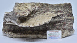 ALMANDINE GARNET, QUARTZ AND BIOTITE, AUSTRALIAN ANTARTIC TERRITORY M45