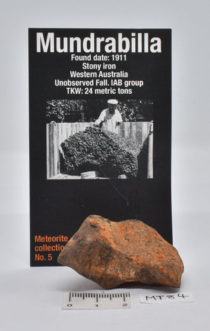 MUNDRABILLA IRON METEORITE 83 GRAMS MT84