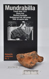 MUNDRABILLA IRON METEORITE 72 GRAMS MT86
