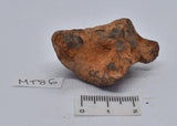 MUNDRABILLA IRON METEORITE 72 GRAMS MT86