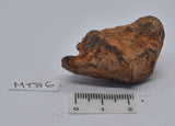 MUNDRABILLA IRON METEORITE 72 GRAMS MT86