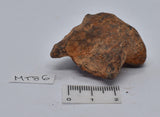 MUNDRABILLA IRON METEORITE 72 GRAMS MT86