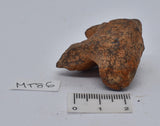 MUNDRABILLA IRON METEORITE 72 GRAMS MT86