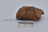 MUNDRABILLA IRON METEORITE 72 GRAMS MT86