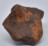 MUNDRABILLA IRON METEORITE 36 GRAMS MT88