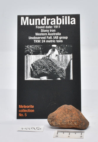 MUNDRABILLA IRON METEORITE 34 GRAMS MT96