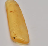 Copal-Amber with fossil insects in display case 8.5 cm F74