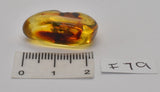 Amber with fossil insects in natural form  F79