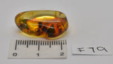 Amber with fossil insects in natural form  F79