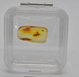 Amber with fossil insects in natural form F80