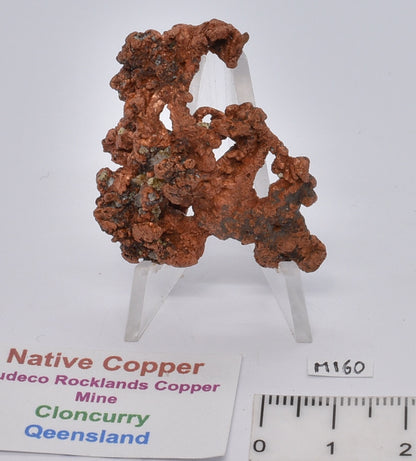 NATIVE COPPER, CLONCURRY, QUEENSLAND, AUSTRALIA M160