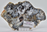 Merlinite, Dentritic Chalcedony, Polished, Western Australia S626