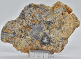 Merlinite, Dentritic Chalcedony, Polished, Western Australia S626