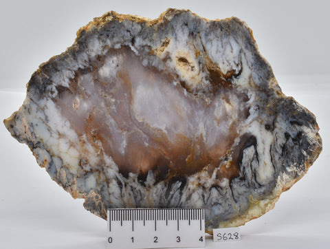 Merlinite, Dentritic Chalcedony, Polished, Western Australia S628