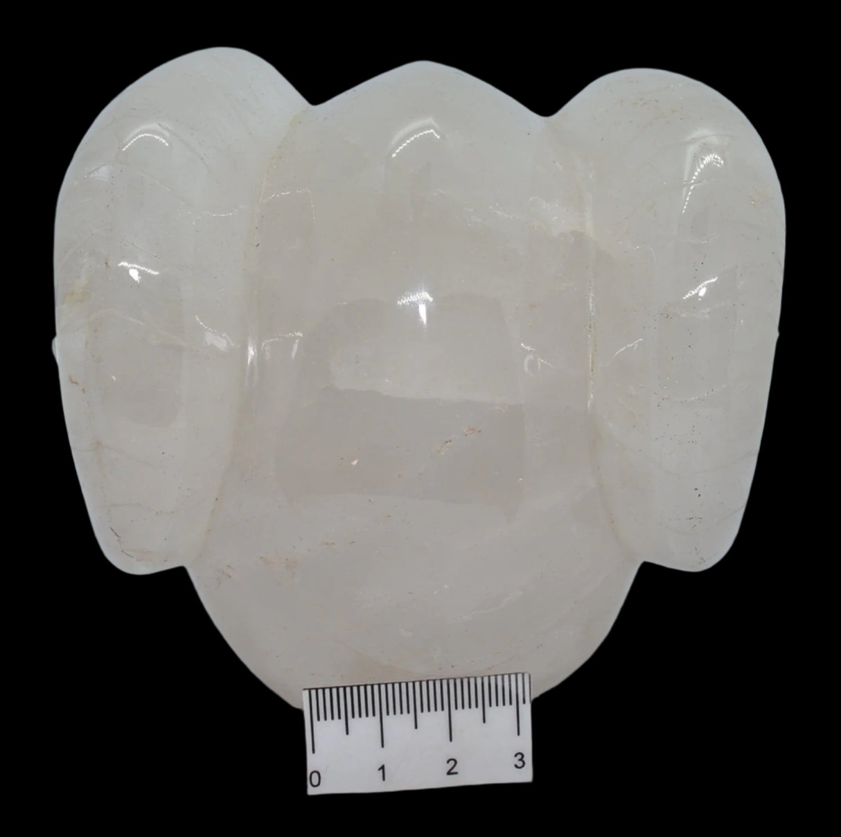 CARVED QUARTZ SKULL WITH RAM HORNS P458