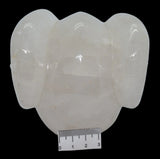 CARVED QUARTZ SKULL WITH RAM HORNS P458