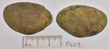 SEPTARIAN NODULE HALVED PAIR (P623)