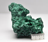 VELVET MALACHITE P292