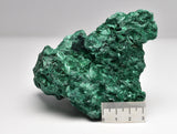 VELVET MALACHITE P292