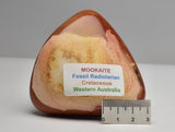 MOOKAITE CRYSTAL FREEFORM P559