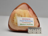 MOOKAITE CRYSTAL FREEFORM P559