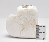 SCOLECITE HEART P1057
