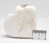 SCOLECITE HEART CARVING P1057