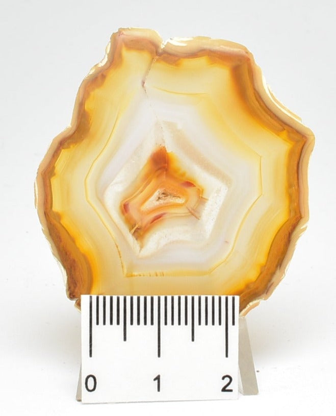 IRIS AGATE SLICE P791