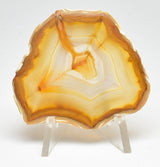 IRIS AGATE SLICE P793