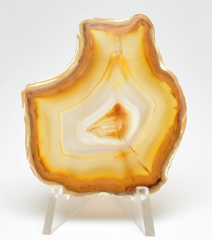 IRIS AGATE SLICE P794