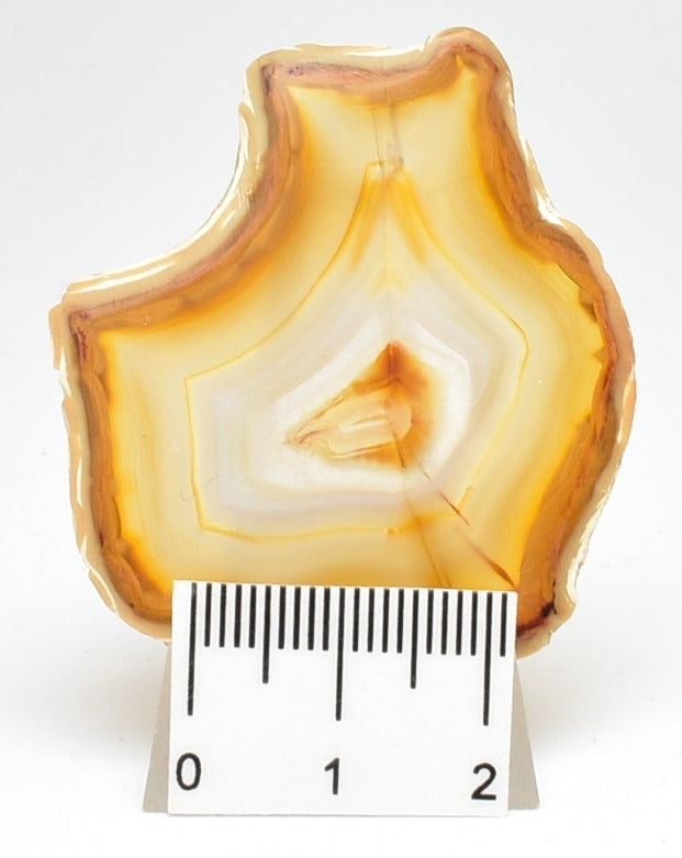 IRIS AGATE SLICE P794