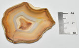 IRIS AGATE SLICE P799