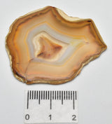IRIS AGATE SLICE P799