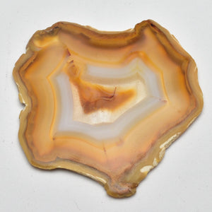 Iris Agate Slices