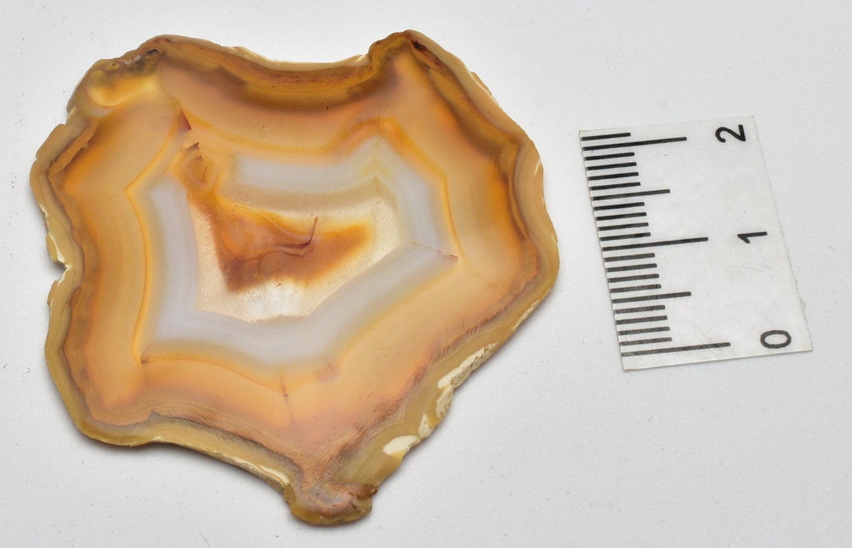 IRIS AGATE SLICE P796