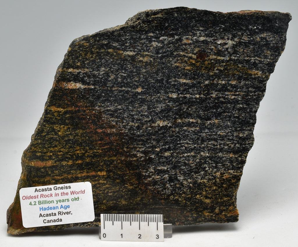 ACASTA GNEISS SLICE "OLDEST ROCK" CANADA S29 Crystal World Exhibition