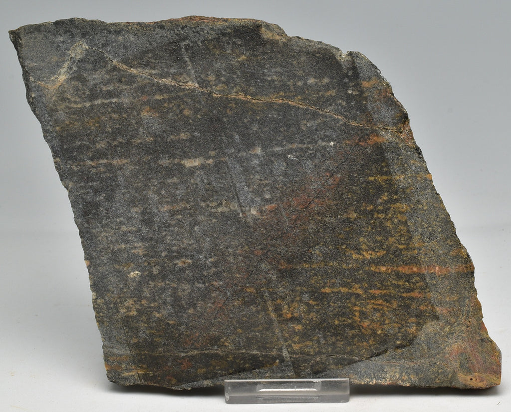 ACASTA GNEISS SLICE 