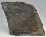 ACASTA GNEISS SLICE "OLDEST ROCK" CANADA S29