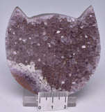 AMETHYST CRYSTAL CAT CLUSTER, FROM BRAZIL P178
