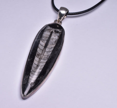 ORTHOCERAS PENDANT J168