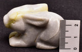 BUNNY CRYSTAL PACK P1109