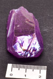 BUNNY CRYSTAL PACK P1109